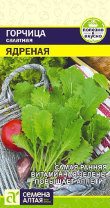 Горчица Ядреная  купить