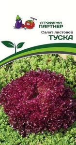Салат Туска листовой  купить