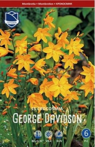 Крокосмия Георгий Девисон /15шт купить