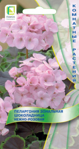 Пеларгония зональная Шоколадница Нежно-розовая  купить