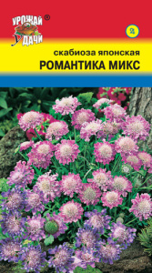 Скабиоза Романтика микс японская  купить