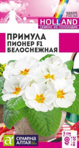 Примула Пионер Белоснежная двулетник  купить
