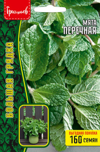 Мята Перечная купить