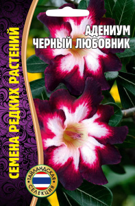 Адениум Чёрный Любовник купить