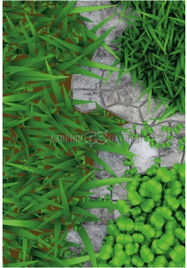 Козлятник Ялгинский (сидерат) 1кг/6 купить