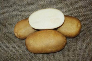 Картофель семенной Удача 1кг/20 купить