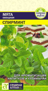 Мята Спирминт купить