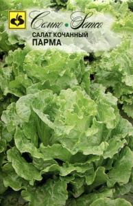 Салат Парма кочанный  купить