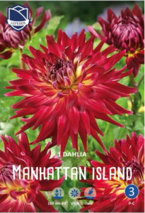 Георгина декоративная Manhattan Island /1шт NEW купить