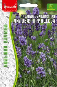 Лаванда Лиловая Принцесса узколистная купить