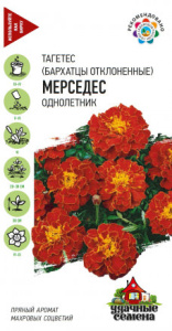 Бархатцы Мерседес (Тагетес)  Уд. с. купить