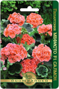 Пеларгония садовая Мефисто F1 Салмон купить