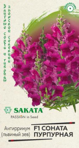 Антирринум Соната пурпурная F1 Элитная клумба  купить