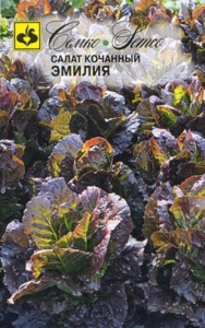 Салат Эмилия кочанный  купить