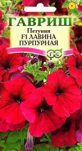 Петуния Лавина F1 Пурпурная   купить