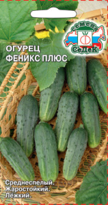 Огурец Феникс Плюс купить