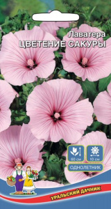 Лаватера Цветение Сакуры  купить