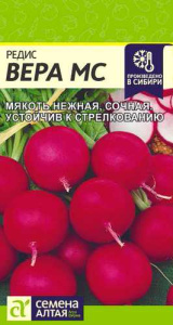 Редис Вера  купить