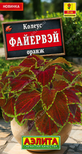 Колеус Файервэй оранж купить