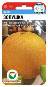 Дыня Золушка  купить