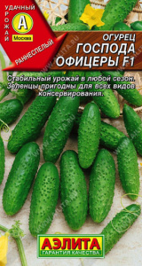 Огурец Господа офицеры F1 купить