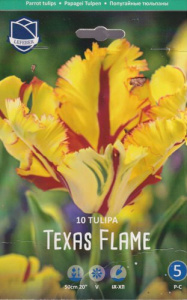 Тюльпан попугайный "Texas Flame" (1х10шт) купить
