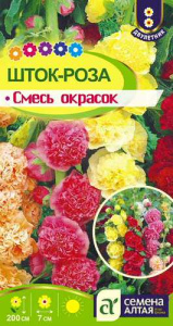 Шток-роза Смесь окрасок купить