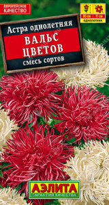 Астра Вальс цветов, смесь купить