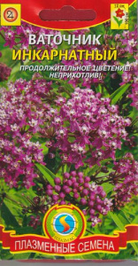 Ваточник Инкарнатный  купить