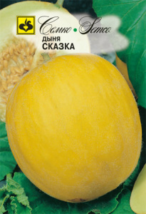Дыня Сказка  купить