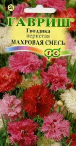 Гвоздика перистая махровая Сказка смесь купить