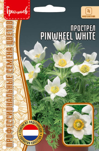 Прострел Pinwheel White купить