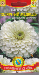 Цинния Полярный медведь  купить