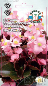 Бегония Надежда F1  купить