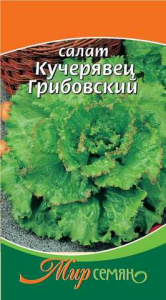 Салат Кучерявец Грибовский 1г купить