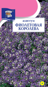 Алиссум Фиолетовая Королева купить
