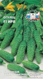 Огурец Ира F1  купить