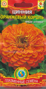 Цинния Оранжевый король  купить