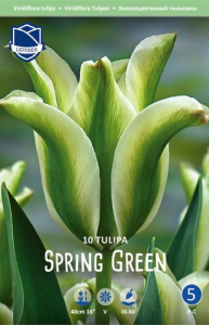 Тюльпан зеленоцветковый "Spring Green" (1х10шт) купить