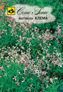 Маттиола Клема  купить