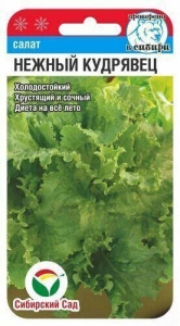 Салат Нежный кудрявец купить