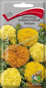 Бархатцы Хлопушка прямостоячие купить