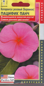 Катарантус розовый (Барвинок) Пацифик Панч  купить