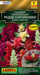 Сальвия Редди карликовая, смесь Золотая серия купить