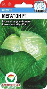 Капуста Мегатон F1  Сс купить