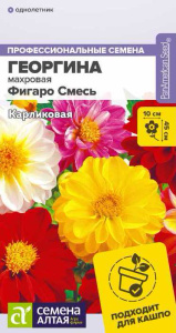 Георгина Фигаро F1 Смесь купить