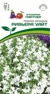 Лобелия РИВЬЕРА УАЙТ каскадная купить