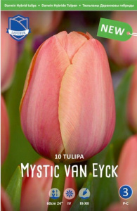 Тюльпан Мистик Ван Эйк /10шт купить