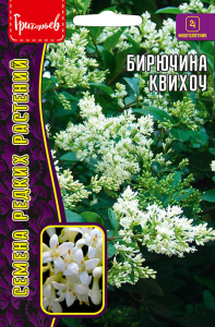 Бирючина Квихоу купить