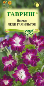 Ипомея нил Леди Гамильтон махровая  купить